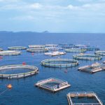 Στις 16-18 Μαΐου έρχεται το πρώτο Ελληνικό Επιστημονικό Συνέδριο Υδατοκαλλιεργειών