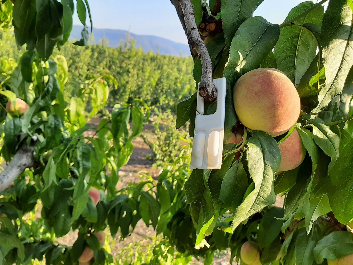Εγκρίθηκε διάθεση πίστωσης 1,4 εκατ. ευρώ για το Κομφούζιο