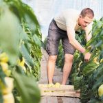 Εντός 5 εργάσιμων από τα αποτελέσματα οι ενστάσεις νεαρών αγροτών για τη μετατροπή στα Βιολογικά