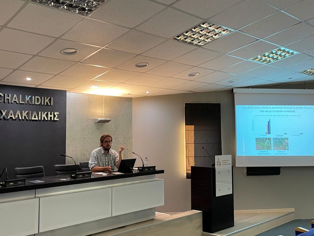 «Αχίλλειος πτέρνα» του δάκου της ελιάς τα συμβιωτικά βακτήρια - Ελαίας Καρπός
