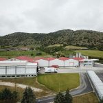 Στο 13,7% το μερίδιο της ΟΠΤΙΜΑ στην εγχώρια αγορά τυροκομικών το 2024
