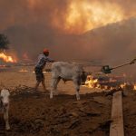 Δοκιμάζεται η Τουρκία από τις πυρκαγιές, σε κλοιό η Σμύρνη