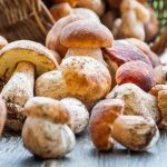Η 6η Πανελλήνια Γιορτή Μανιταριών και Τρούφας 11- 13 Ιουλίου στην Αργαλαστή Μαγνησίας