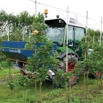 Διευκρινήσεις ΥπΑΑΤ για λήψη της βεβαίωσης εγγραφής στο ΜΑΑΕ