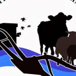 ΑΚΚΕΛ: Καταιγίδα παραιτήσεων και δικογραφία φωτιά