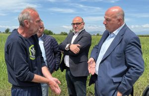 Με διπλή ταρίφα βλέπουν χρήματα τα  βιολογικά στη φυτική παραγωγή, παραγάδι για τη μελισσοκομία