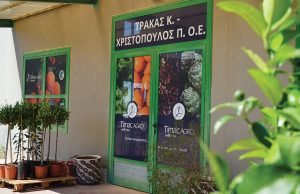 Άριστο και βαρύ iceberg που μένει στο ράφι για καιρό και αντέχει σε υφάλμυρα νερά - Fresher