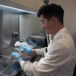 Από τα φύλλα ελιάς στις βιώσιμες συσκευασίες: Πρωτοπορία από την Ισπανία για πιο ασφαλή τρόφιμα