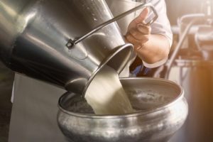 Στους 992,7 εκατ. τόνους η παραγωγή γάλακτος το 2025 λέει ο FAO, ηγείται της ανάπτυξης η Ασία - Τυροκόμος