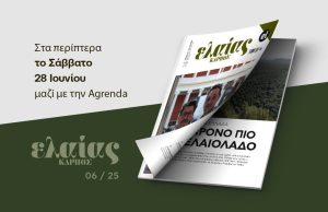 Το μονοπάτι του εφήμερου κέρδους δεν οδηγεί πουθενά το ελληνικό ελαιόλαδο