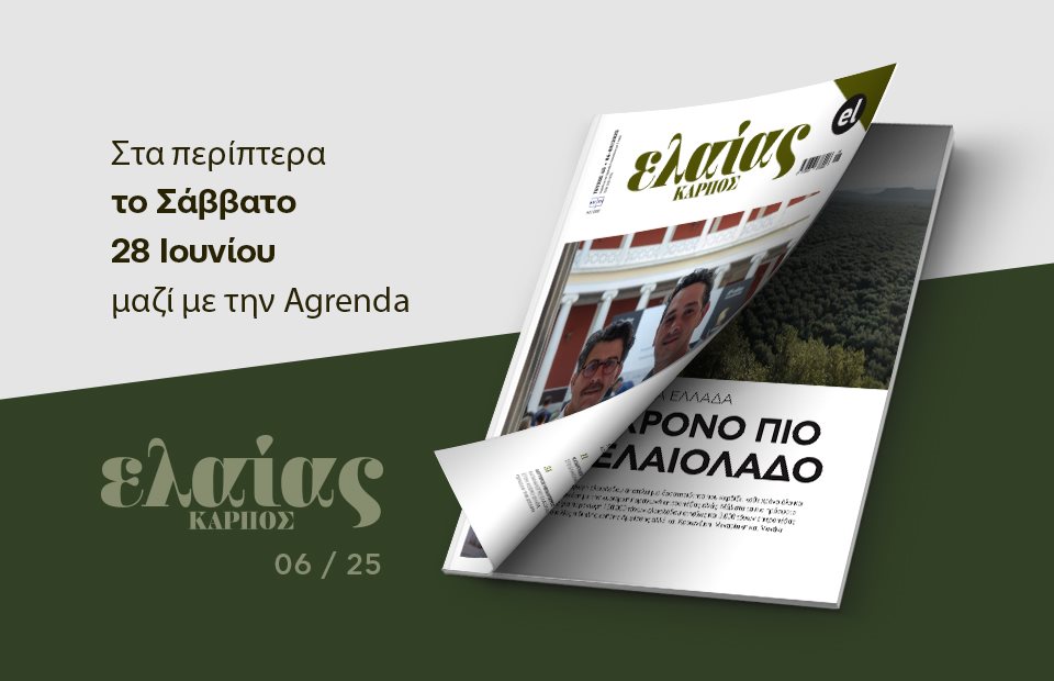 Το μονοπάτι του εφήμερου κέρδους δεν οδηγεί πουθενά το ελληνικό ελαιόλαδο