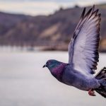 Mε υψηλές θερμοκρασίες το τριήμερο του Αγίου Πνεύματος