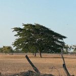 Κέλλας: Σε συμφωνία με την ΕΕ η αλλαγή λειτουργίας του ΟΠΕΚΕΠΕ