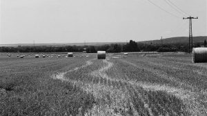 ΕΟΑΣΝΛ ενάντια στις επιχειρούμενες διώξεις στελεχών του λαικού κινήματος