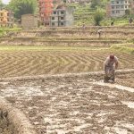 Μελέτη του FAO αποκαλύπτει ανησυχητική υποβάθμιση της γεωργικής γης στην αραβική περιοχή
