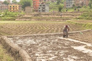 Μελέτη του FAO αποκαλύπτει ανησυχητική υποβάθμιση της γεωργικής γης στην αραβική περιοχή