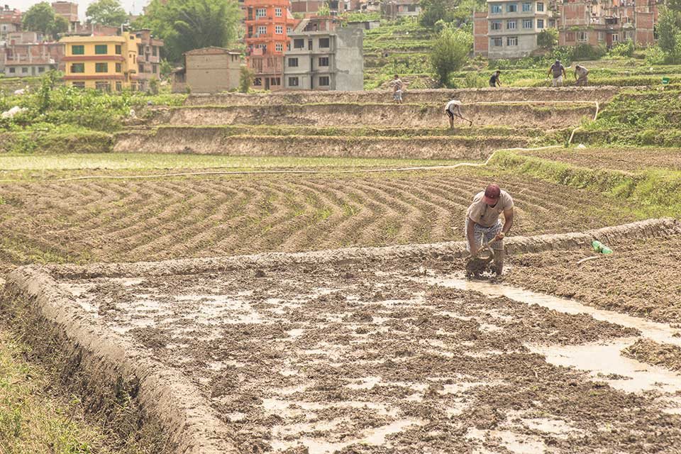 Μελέτη του FAO αποκαλύπτει ανησυχητική υποβάθμιση της γεωργικής γης στην αραβική περιοχή