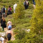 Όμιλος Επιχειρήσεων Σαρακάκη Hiking 2025: Το Wellness των εργαζομένων του και η προστασία του Περιβάλλοντος στην «καρδιά» των Δράσεων ΕΚΕ