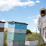 Έως τα 10 ευρώ ανά κυψέλη η ενίσχυση μελισσοκόμων Αιγαίου