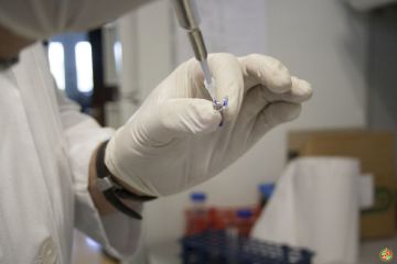 Επανάσταση στην ποιότητα του ελαιολάδου με νέα οπτική τεχνολογία