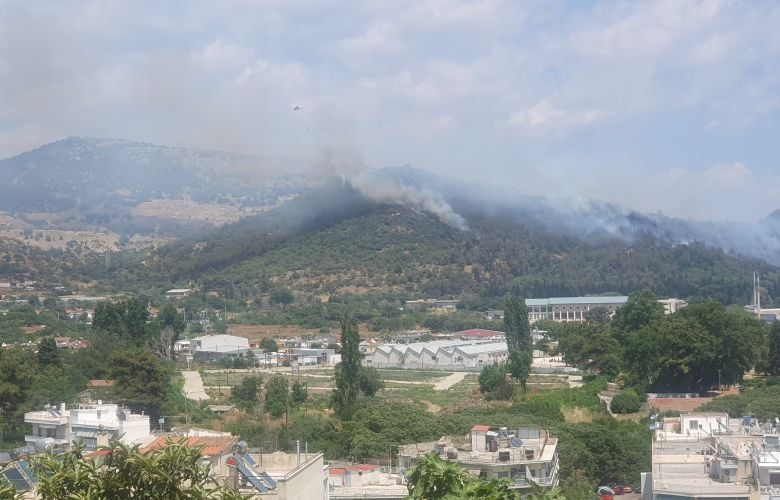 Έσβησε η φωτιά που ξέσπασε στην ανατολική είσοδο της Καβάλας