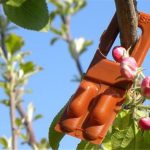 Δεσμεύτηκαν 43 εκατ. ευρώ για τις πληρωμές σε Σπάνιες Φυλές και Κομφούζιο