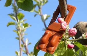 Δεσμεύτηκαν 43 εκατ. ευρώ για τις πληρωμές σε Σπάνιες Φυλές και Κομφούζιο