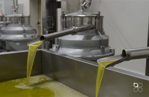 Ελαίας Καρπός