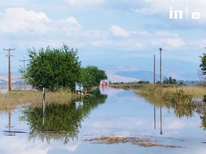 Στο περίμενε οι αγρότες  για αποζημιώσεις Daniel αποκατάστασης φυτικού κεφαλαίου