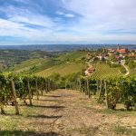 Τοσκάνη και Piemonte επιβεβαιώνουν την παγκόσμια απήχηση τους για οίνους υψηλής ποιότητας - Winetrails