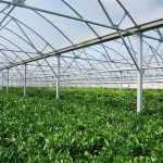 Ενημερωτική ημερίδα για θερμοκήπια και ελαιοκομικό μητρώο από ΑΣ Φιλιατρών στις 24 Ιουνίου