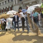 Αγροτικές Ειδήσεις: Τελεσίγραφο από ASAJA COAG UPA: Ή σώζετε τα σιτηρά ή ερχόμαστε στις Βρυξέλλες