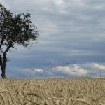 Ημερίδα για την Αειφόρο Ανάπτυξη στη γεωργία και το περιβάλλον