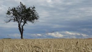 Ημερίδα για την Αειφόρο Ανάπτυξη στη γεωργία και το περιβάλλον