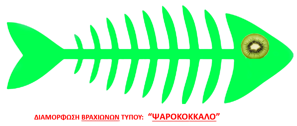Κομβικό το καλοκαιρινό δέσιμο της ακτινιδιάς, συνίσταται συνεχής επιφυλακή - Fresher