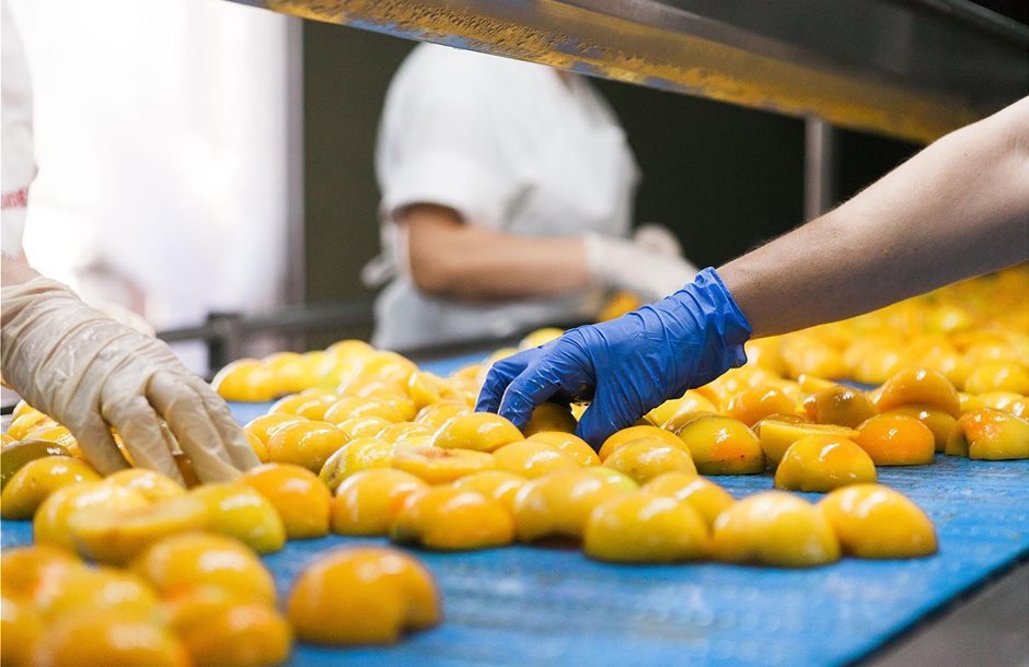 Στους 230-250 χιλιάδες τόνους εκτιμάται η φετινή παραγωγή βιομηχανικού ροδάκινου