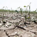 Η Νότια Ευρώπη αντιμετωπίζει τις μεγαλύτερες απώλειες AΕΠ λόγω καύσωνα