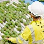 Νέο κέντρο logistics για αγροτικά προϊόντα στο Περού ανοίγει η εταιρεία Maersk
