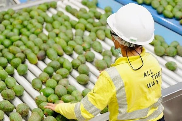 Νέο κέντρο logistics για αγροτικά προϊόντα στο Περού ανοίγει η εταιρεία Maersk