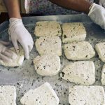 Η Κύπρος αλλάζει στρατηγική ενίσχυσης αιγοπροβατοτροφίας για να καλύψει τη ζήτηση για χαλλούμι