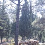 Παρατείνεται έως την Παρασκευή η απαγόρευση διέλευσης στο Σέιχ Σου