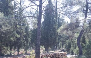 Παρατείνεται έως την Παρασκευή η απαγόρευση διέλευσης στο Σέιχ Σου