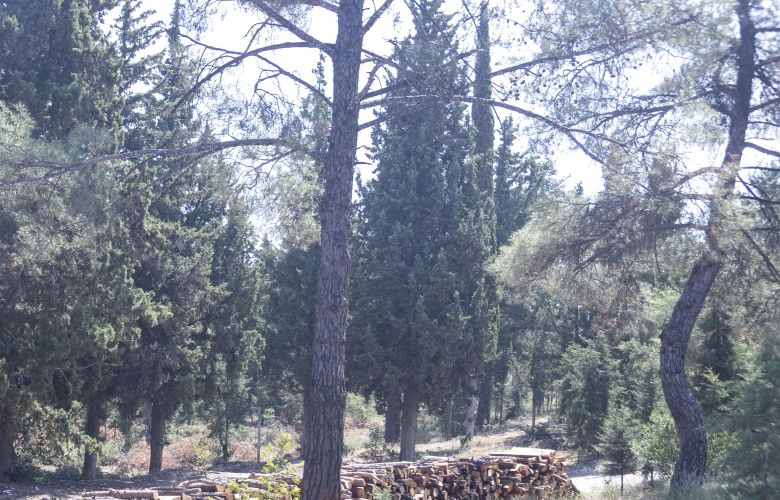 Παρατείνεται έως την Παρασκευή η απαγόρευση διέλευσης στο Σέιχ Σου