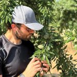 Επενδύσεις χωρίς τιµολόγια  και πριμ Νέων Αγροτών  έως και 300.000 ευρώ   φέρνει η επόμενη ΚΑΠ από το 2028