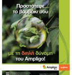 Μήνας εντατικής φροντίδας ο Ιούλιος για το βαμβάκι σε θρέψη και φυτοπροστασία
