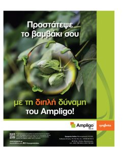 Μήνας εντατικής φροντίδας ο Ιούλιος για το βαμβάκι σε θρέψη και φυτοπροστασία