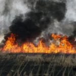 Διαμαρτυρία και ψήφισμα από τους πυρόπληκτους ελαιοπαραγωγούς του Έβρου