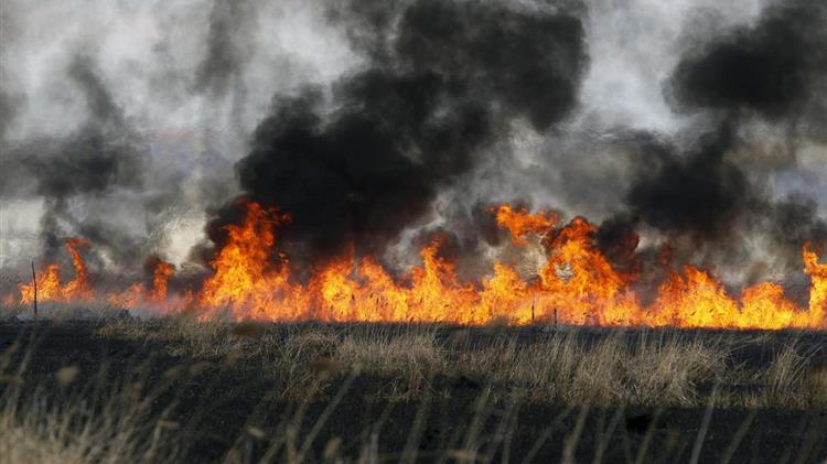 Διαμαρτυρία και ψήφισμα από τους πυρόπληκτους ελαιοπαραγωγούς του Έβρου