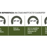 Ελαίας Καρπός