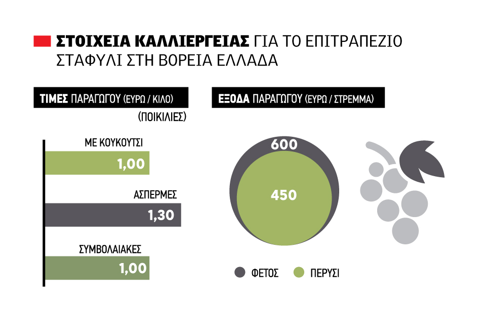 Έναρξη με 1,30 ευρώ το κιλό για τα άσπερμα επιτραπέζια σταφύλια, νωρίτερα αγορές - Fresher